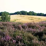 Der Valk De Molenhoek-nijmegen 4*