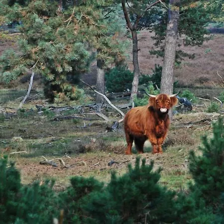 Der Valk De Molenhoek-nijmegen 4* 몰렌호크