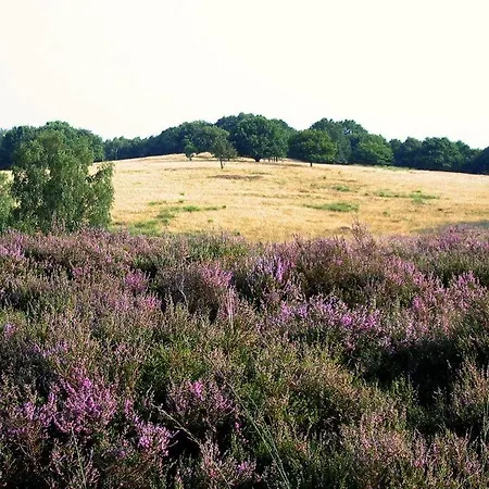 Der Valk De Molenhoek-nijmegen 4*