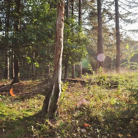 Der Valk De Molenhoek-nijmegen Hotell 4*