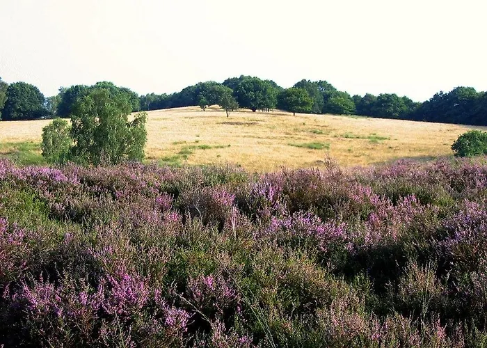 Der Valk De Molenhoek-nijmegen 4*