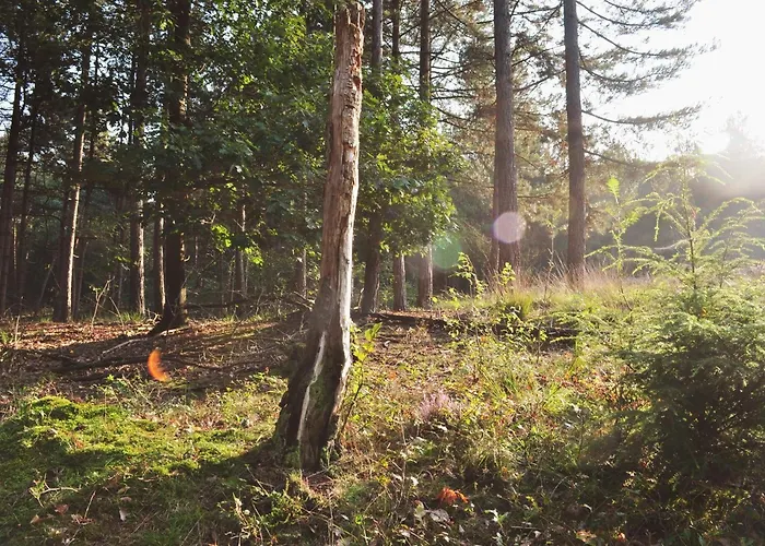 Der Valk De Molenhoek-nijmegen מלון 4*